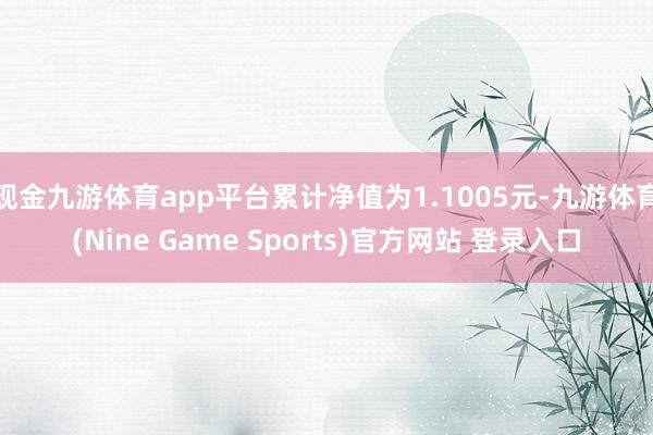 现金九游体育app平台累计净值为1.1005元-九游体育(Nine Game Sports)官方网站 登录入口