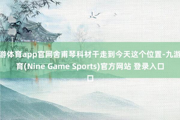 九游体育app官网舍甫琴科材干走到今天这个位置-九游体育(Nine Game Sports)官方网站 登录入口