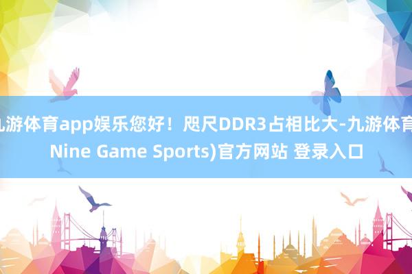 九游体育app娱乐您好！咫尺DDR3占相比大-九游体育(Nine Game Sports)官方网站 登录入口